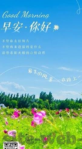 大赢家足球即时比分直-大赢家足球即时比分直击，绿茵场上的实时脉搏