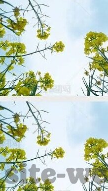 足球探球比分直播-足球探球比分直播，一场跨越时空的激情碰撞